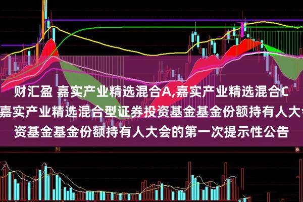 财汇盈 嘉实产业精选混合A,嘉实产业精选混合C: 关于以通讯方式召开嘉实产业精选混合型证券投资基金基金份额持有人大会的第一次提示性公告