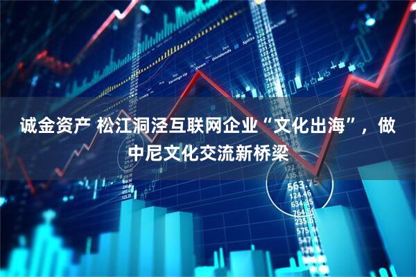 诚金资产 松江洞泾互联网企业“文化出海”，做中尼文化交流新桥梁